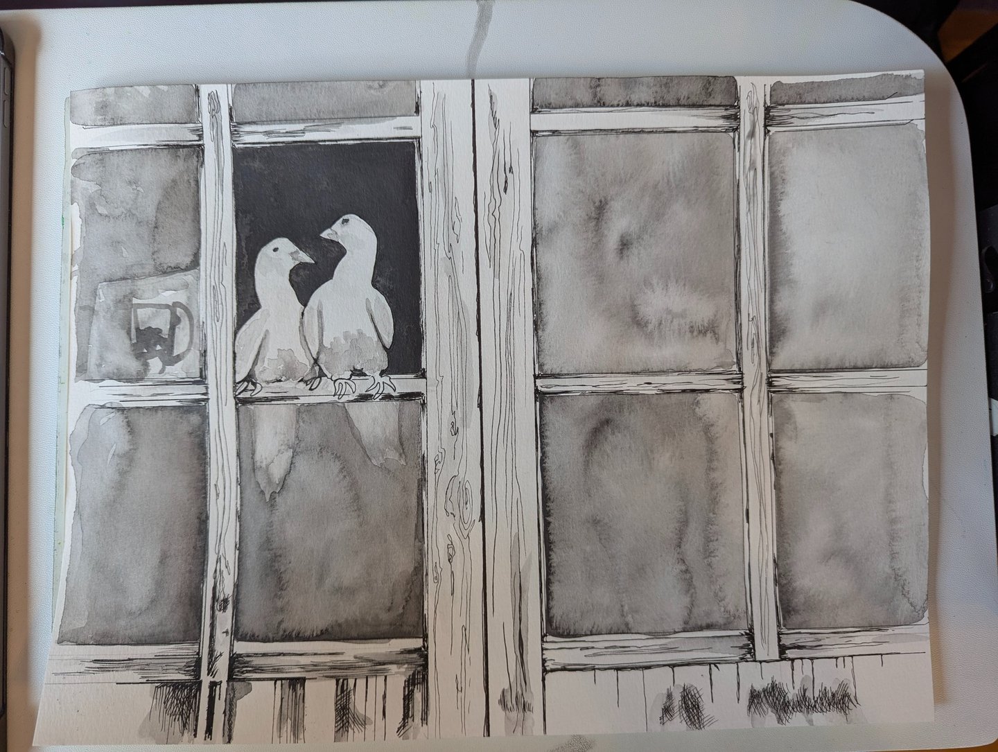 A pair of mated doves sitting in a dark open window rendered in water graphites and micron pen on paper by Kathy LaFollett.