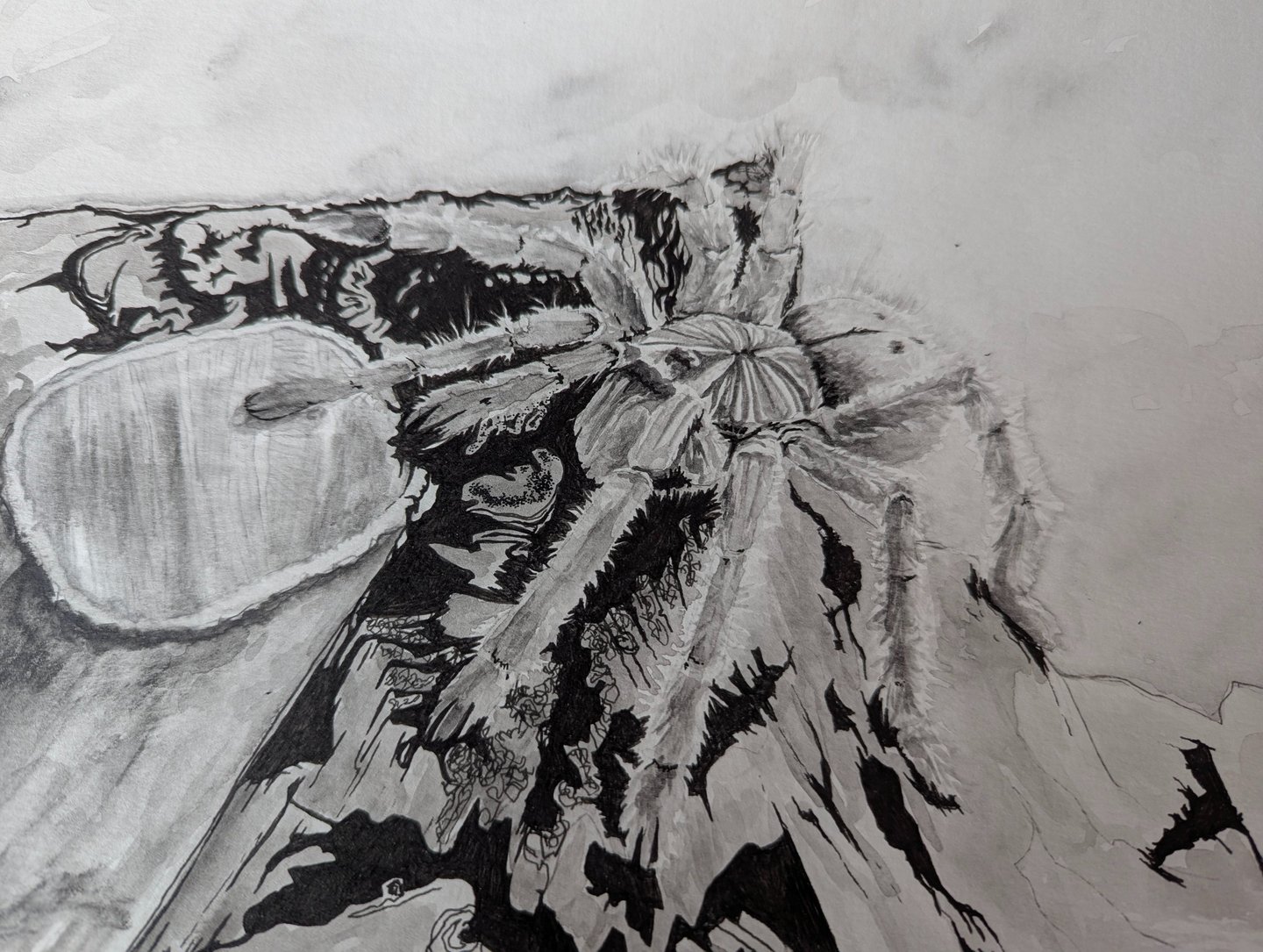 A healthy fearless OBT tarantula in it's enclosure drawn in water graphites and micron ink pen by kathy laFollett.