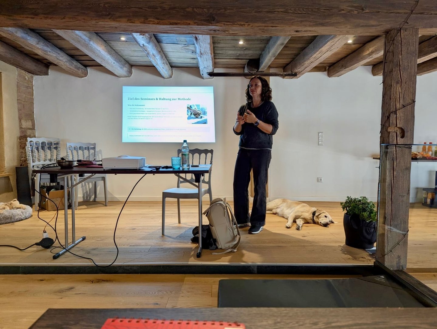 Die Inselphysio Svenja Stoll gibt ein Seminar zur Shiatsu-Therapie für Hunde in Wörth am Main