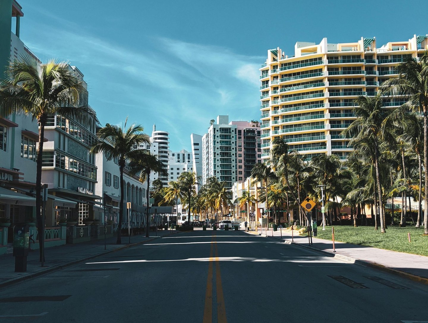 Typical street in Miami with Palm trees