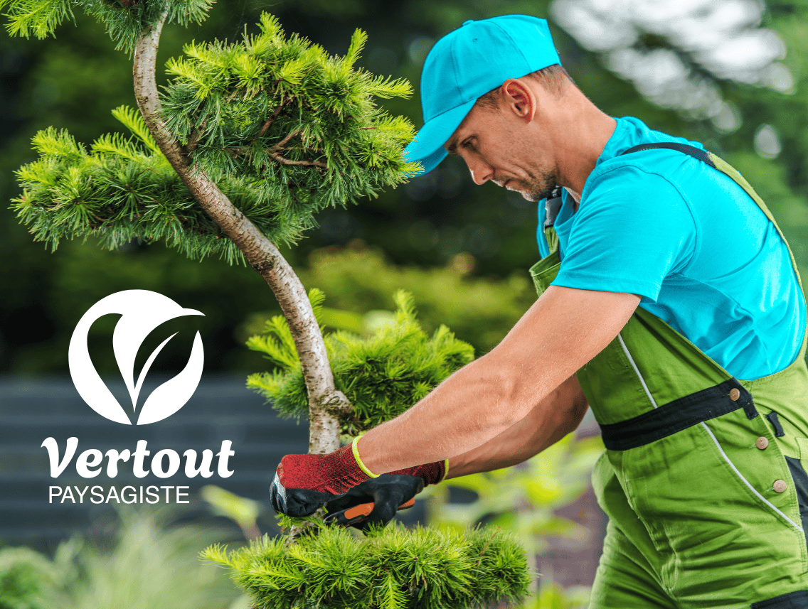 Un paysagiste professionnel taillant un arbre à feuilles pour des services d'entretien de jardin.