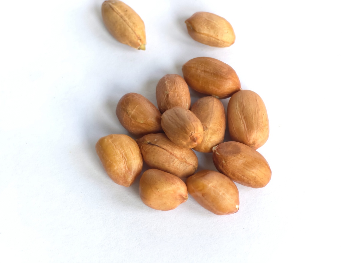 A pile of shelled raw peanuts with skins isolated on a white background.