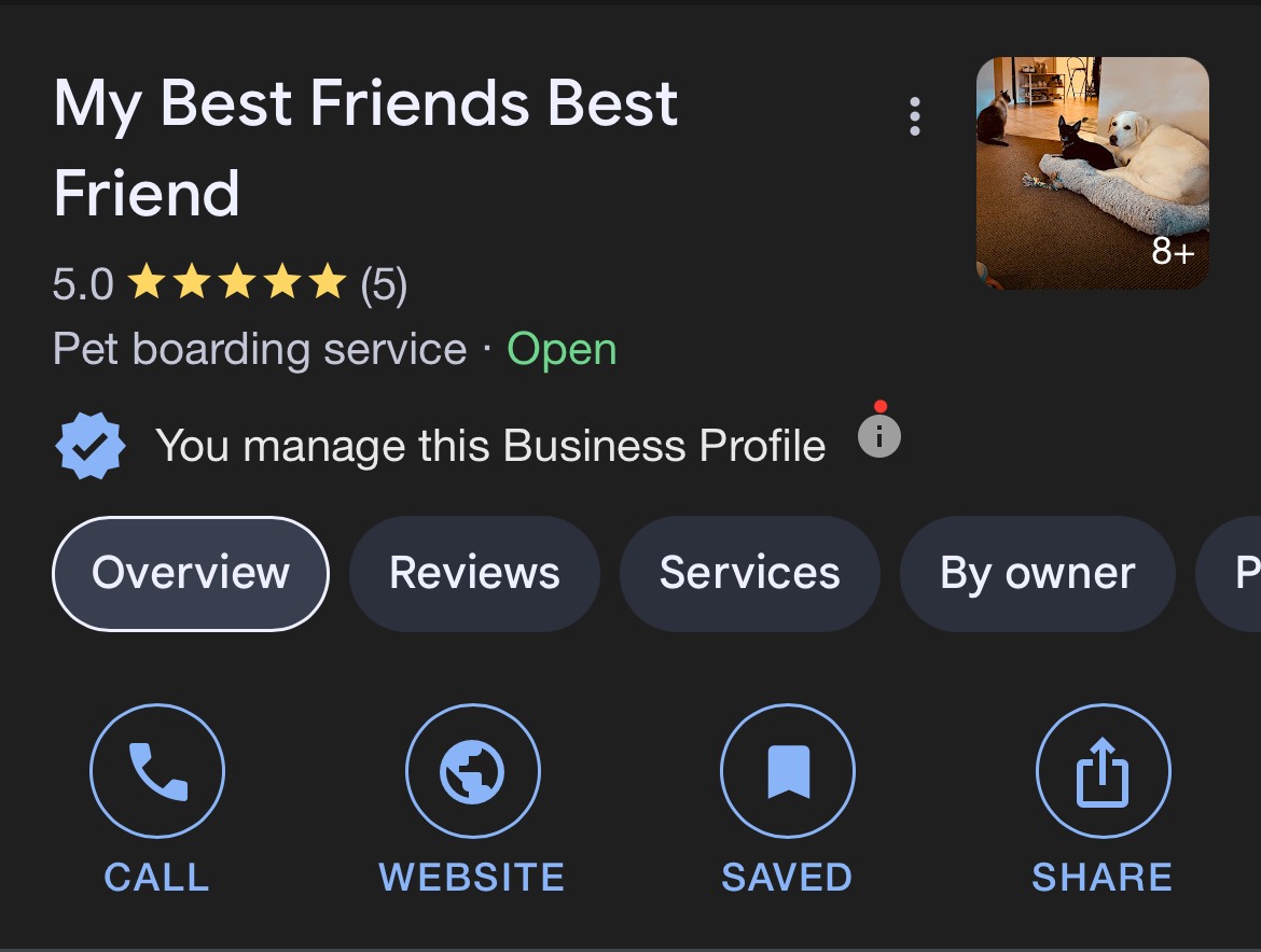 Testimonial & Reviews