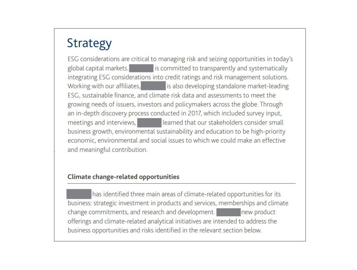 Excerpt of an ESG report, with references to the company name blocked out