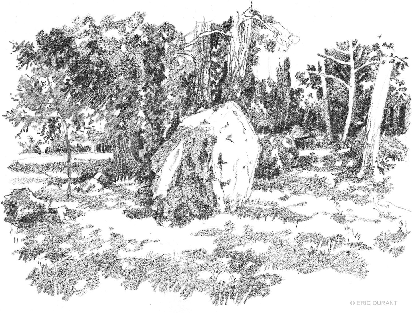 Dessin mine de plomb sur papier A4 - © Eric Durant