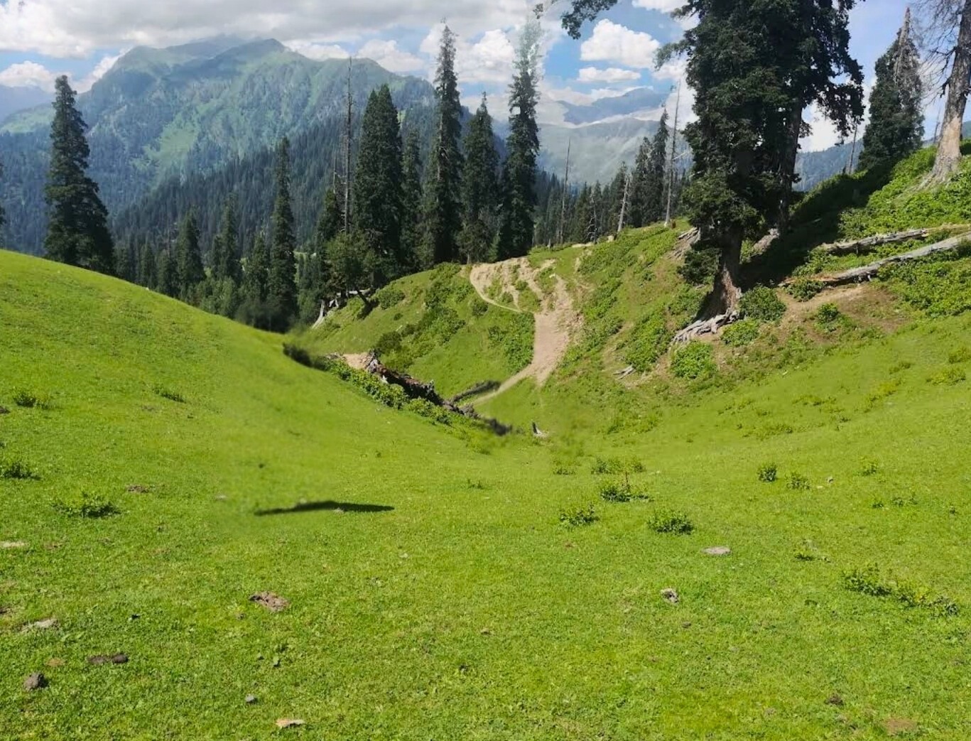 Lush green view from miranjani top 
