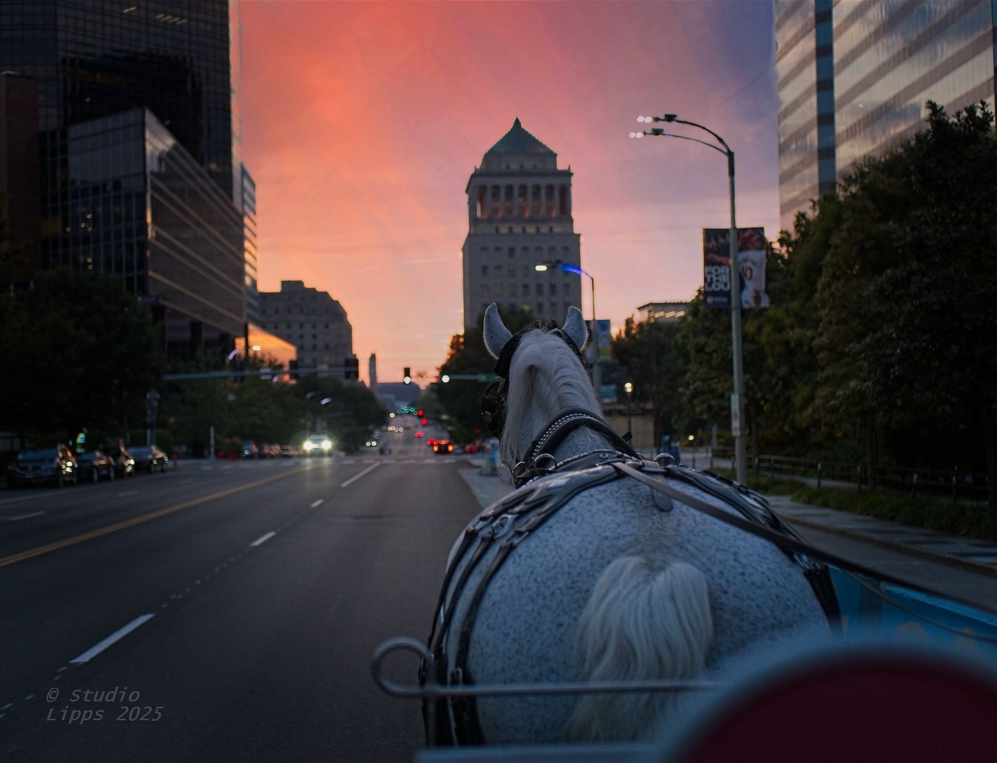 a horse drawn carriage in the middle of a STL St Louis Studio Lipps Photography 2025 