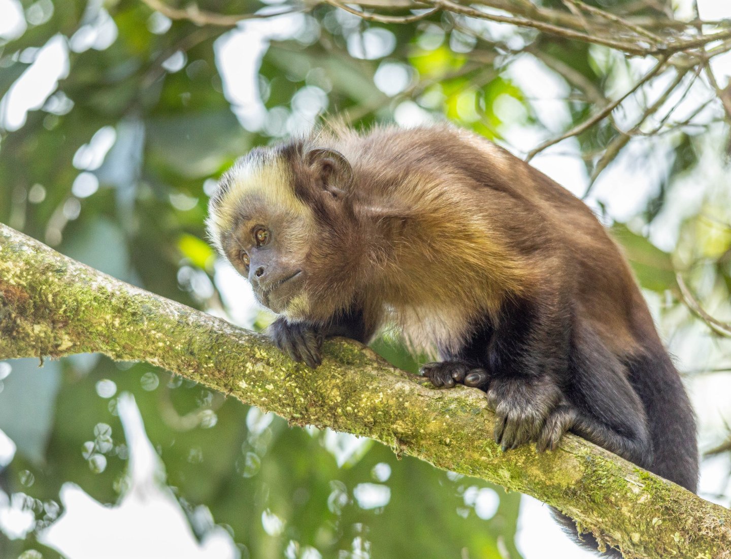 Tambopata Amazon Expedition