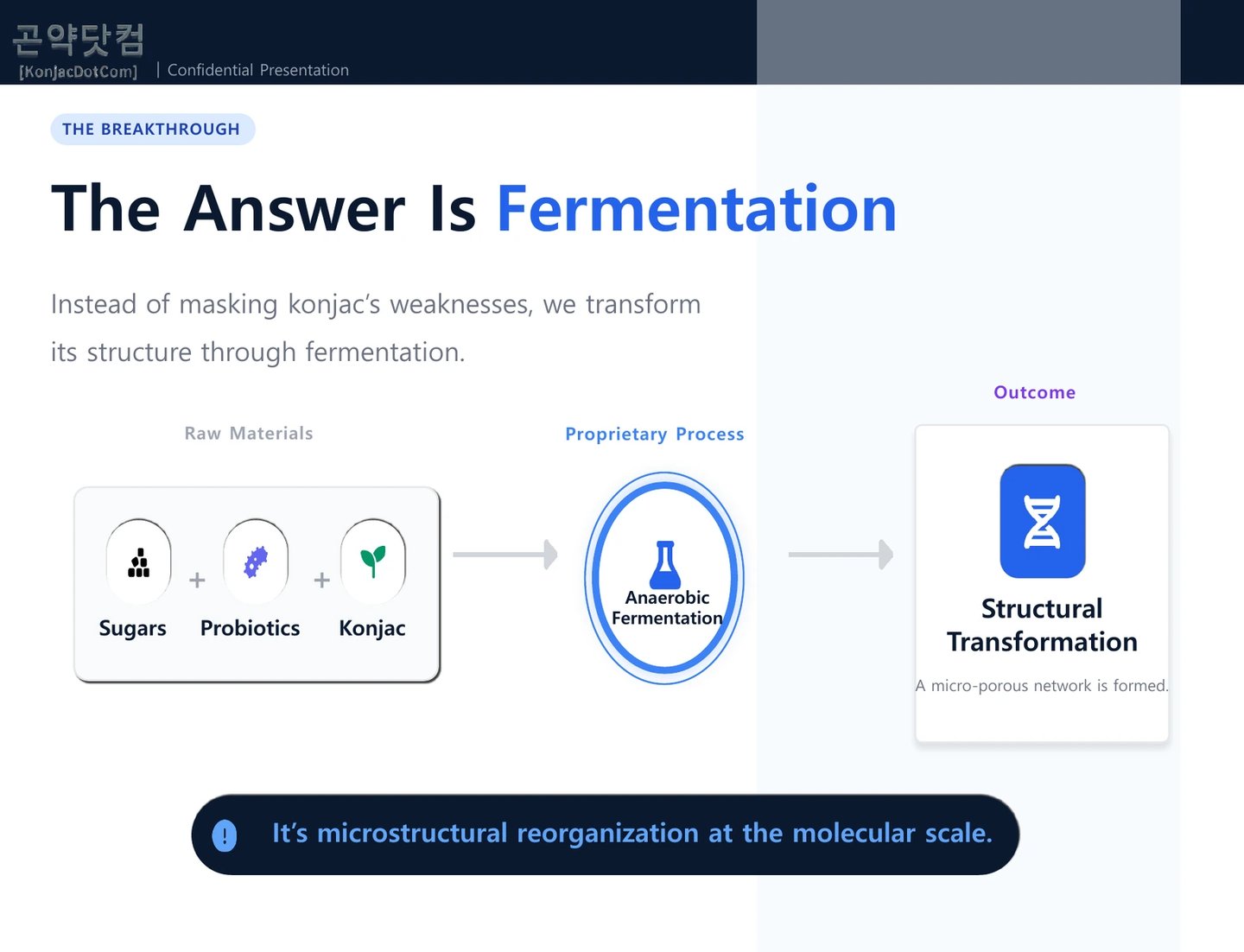 The answer is Fermentation.