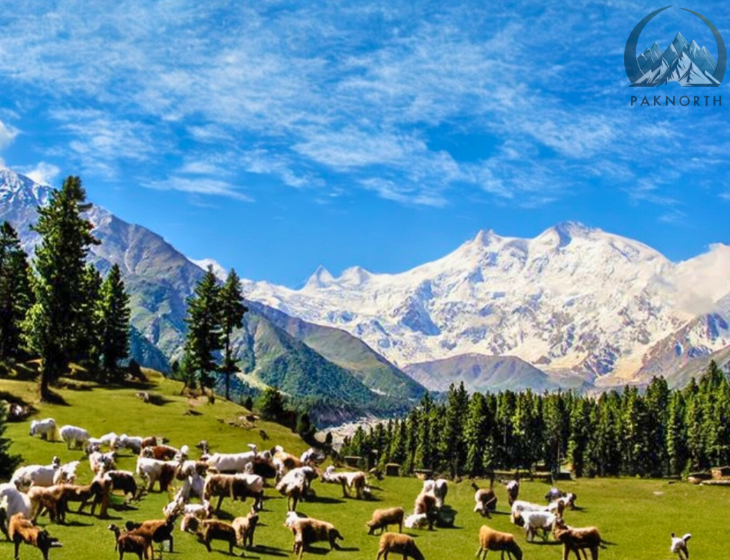 Panoramic view of fairy meadows Pakistan 