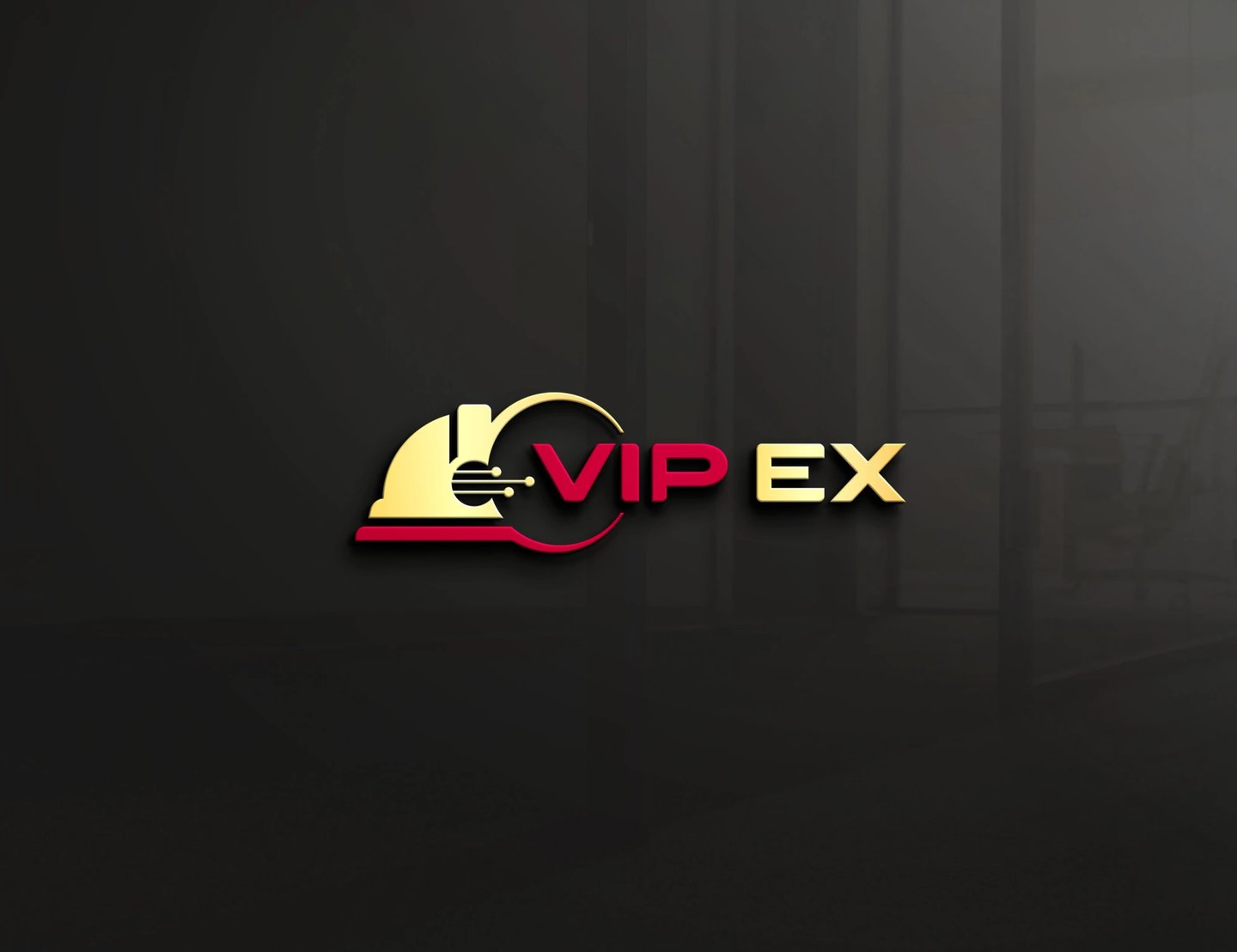 Logotipo kūrimas įmonei Vip ex