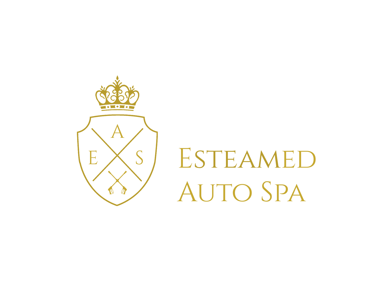 auto detailing logo