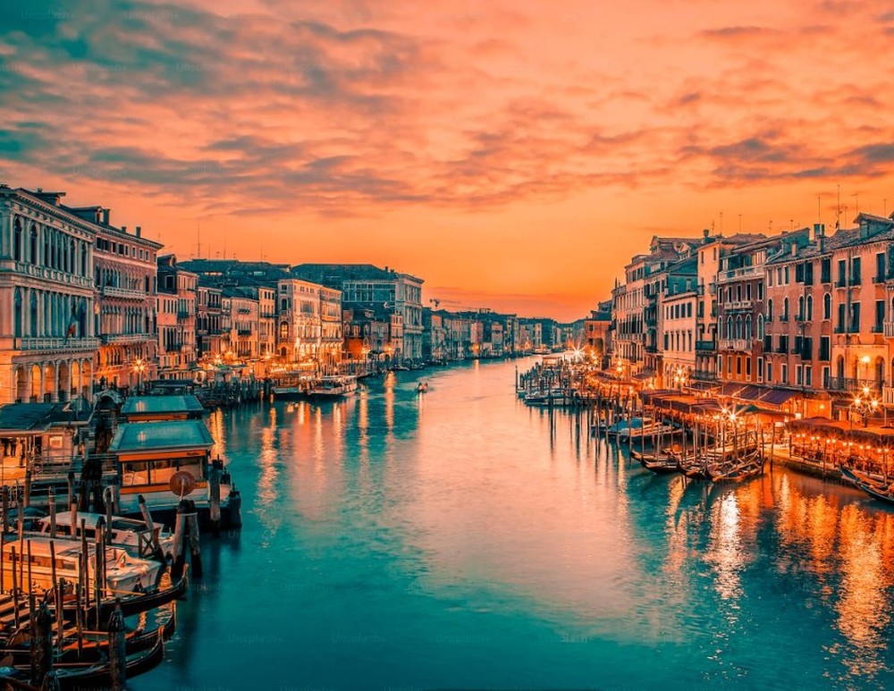 Travel Insurance