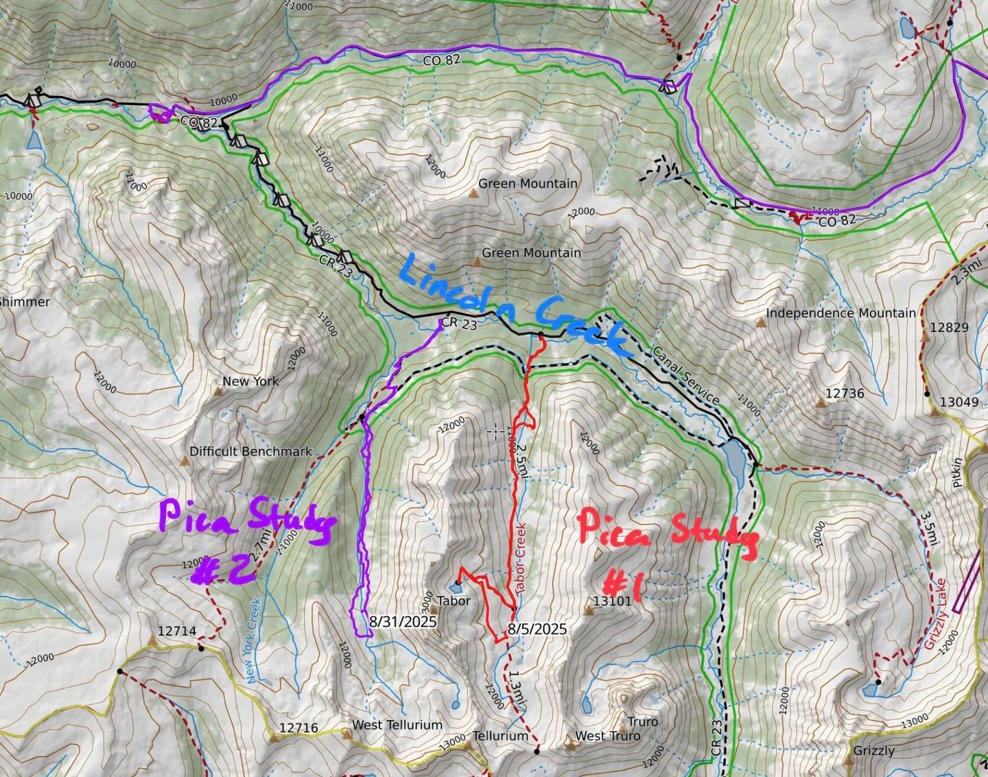 Pica Study tracks