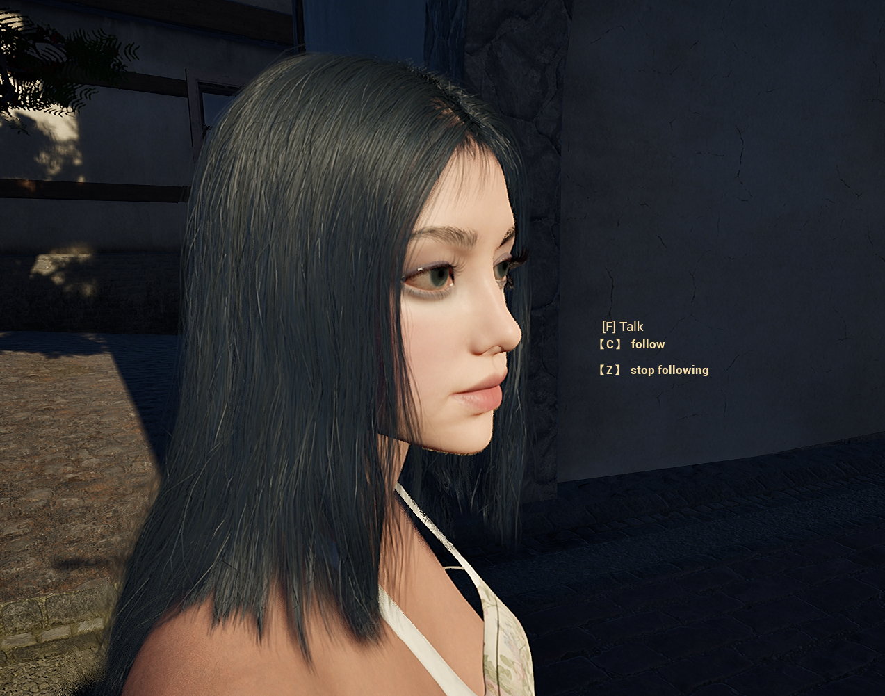 Playable characters in Silver Creek Town