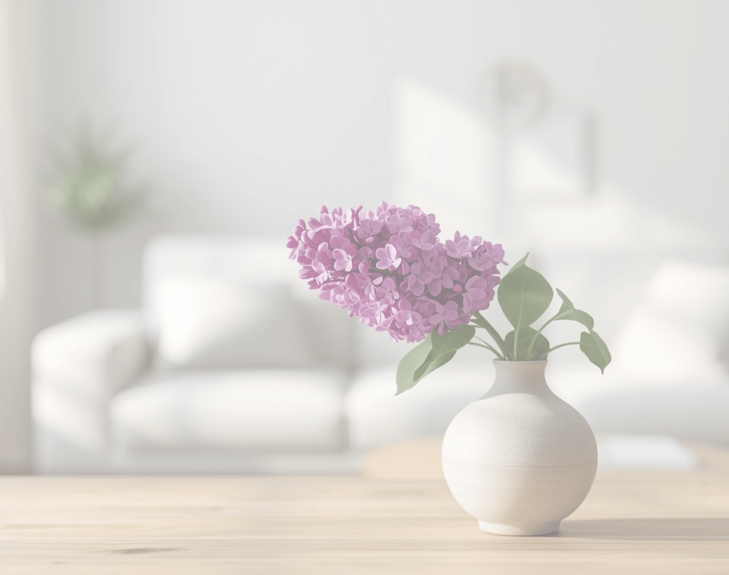 Lilac flower in a living room, in Princeton NJ, perfectly matches the simplelilac brand
