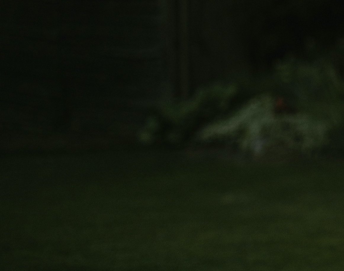 labai tamsios žalios spalvos fonas