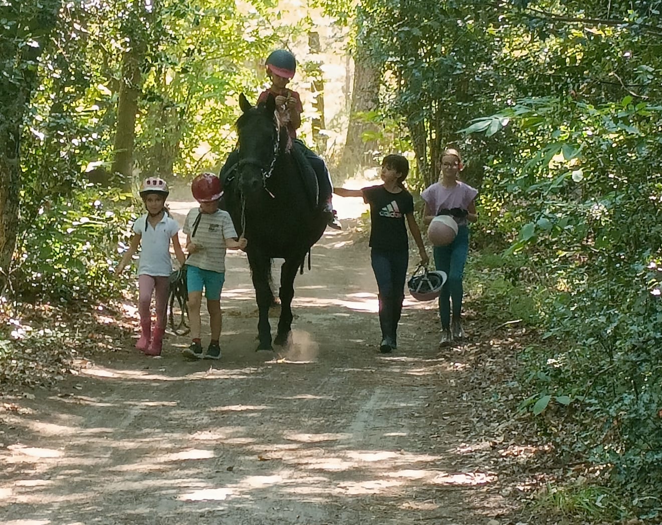 ballade poney Landes et pins