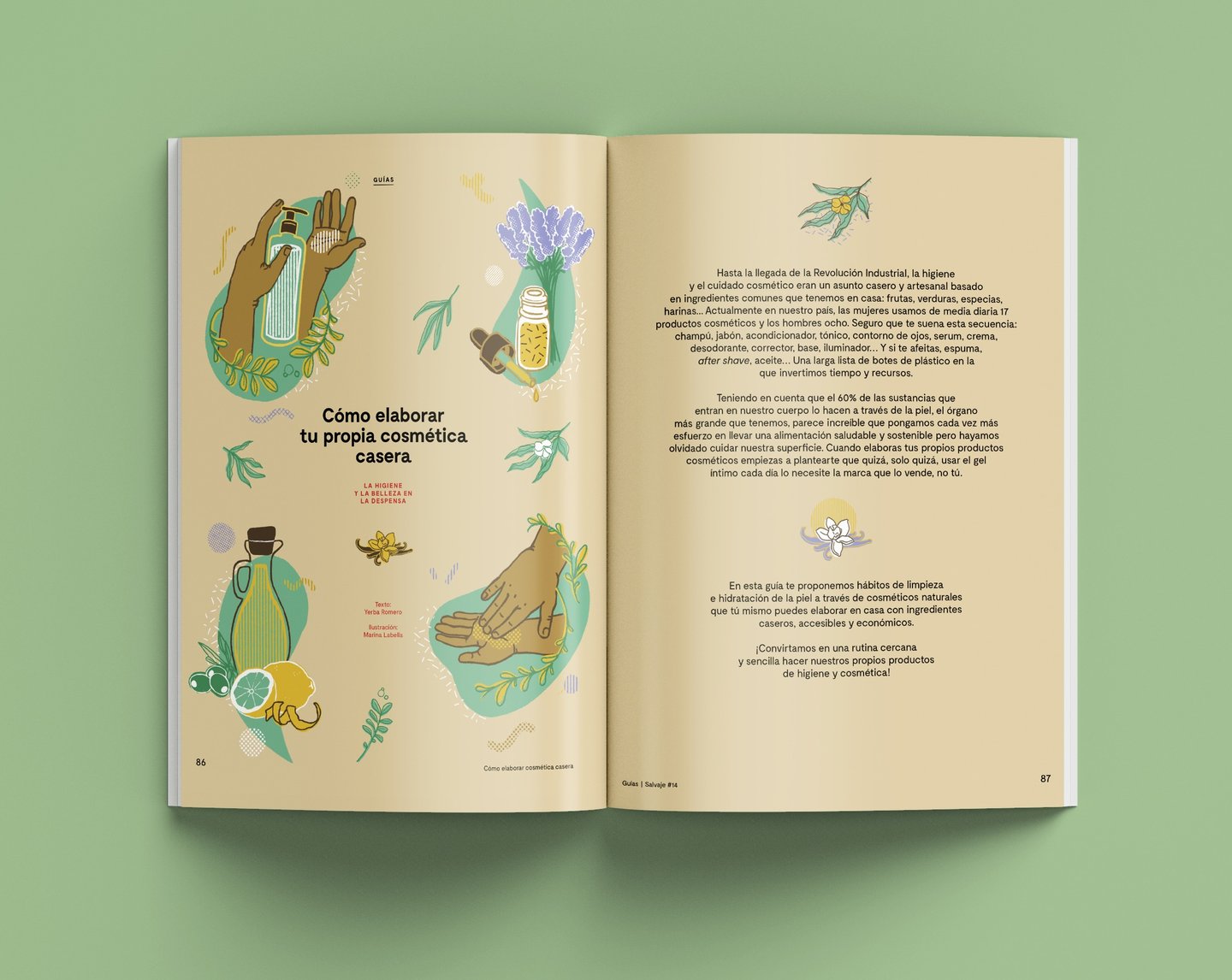 magazine pages with pictures of hands holding cosmetics and olive oil, lemon, lavender, leaves