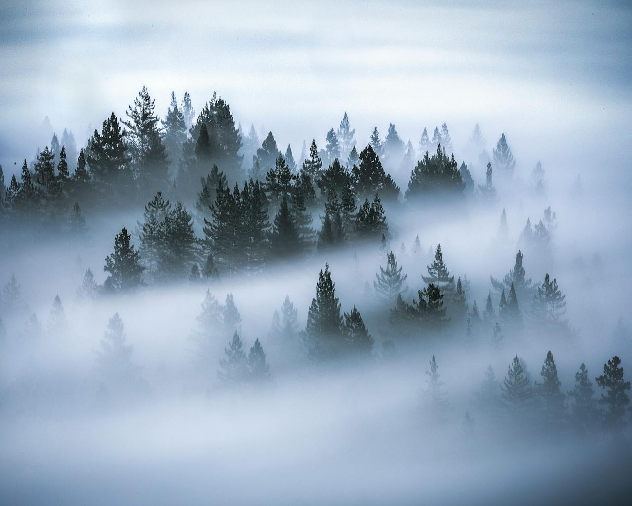 Photography and Mindfulness: How Capturing Moments Can Calm the Chaos of Modern Life