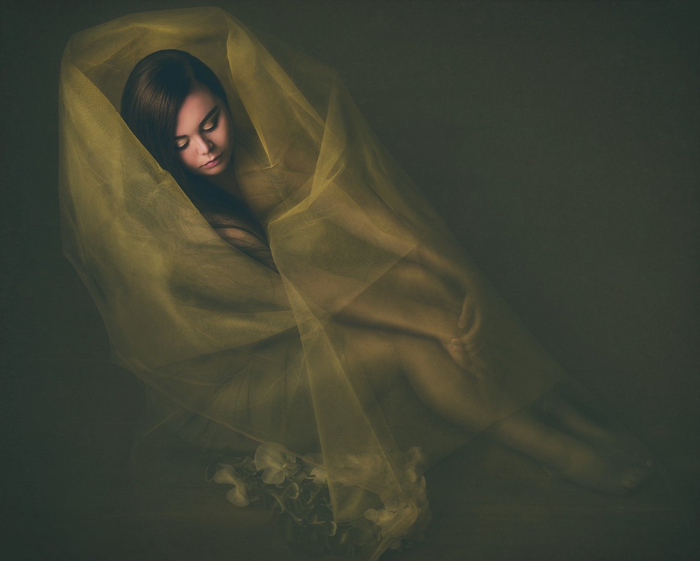 Fine art portrait of a woman wrapped in soft tulle, with a moody and elegant expression.