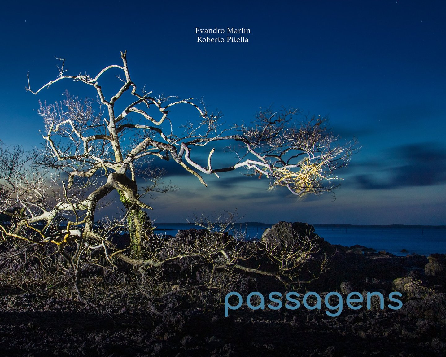 a tree with a tree in the background