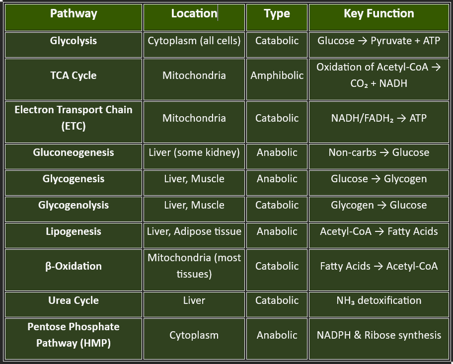 metabolic pathways