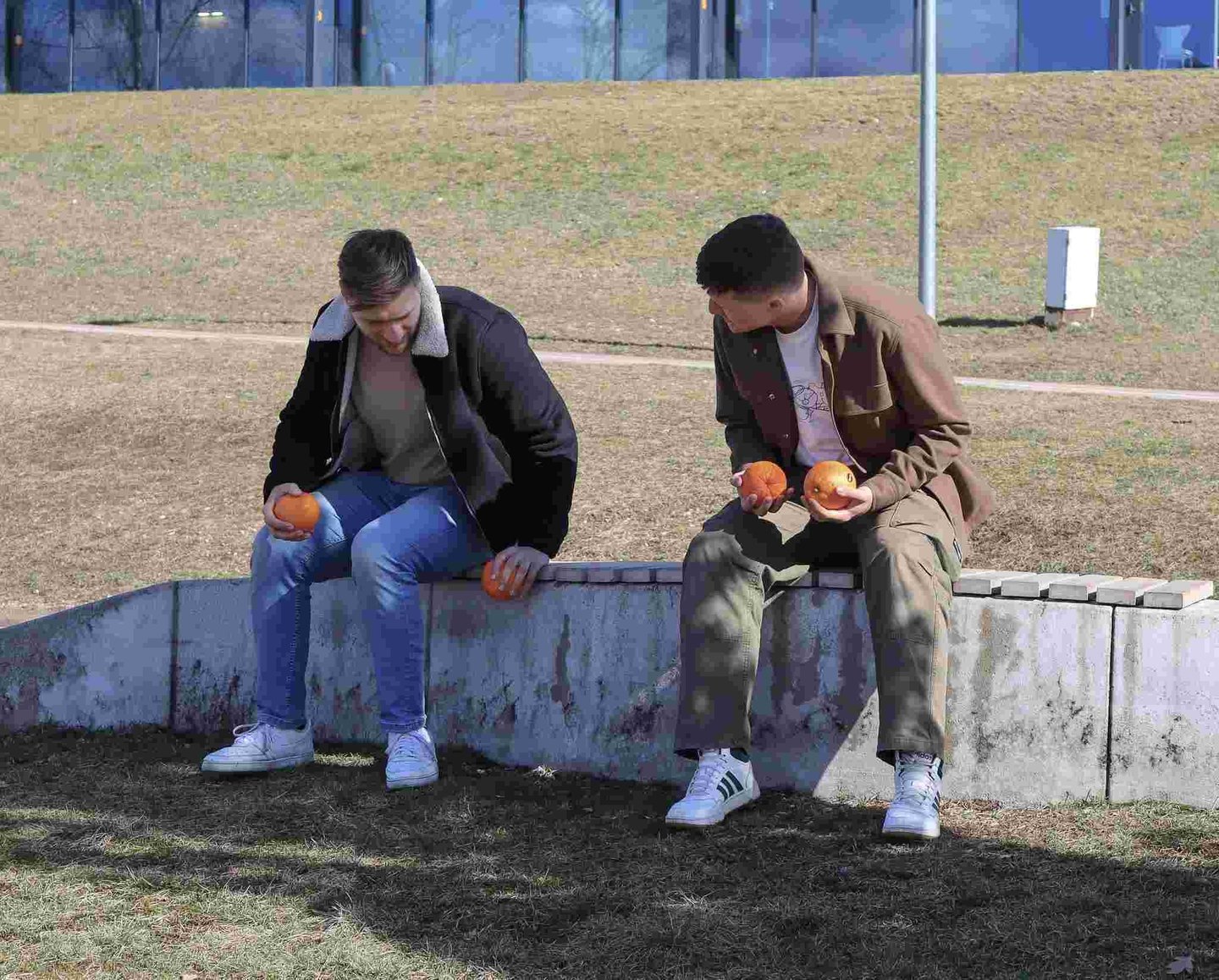 du jauni vyrai kalbasi sededami ant suoliuko lauke