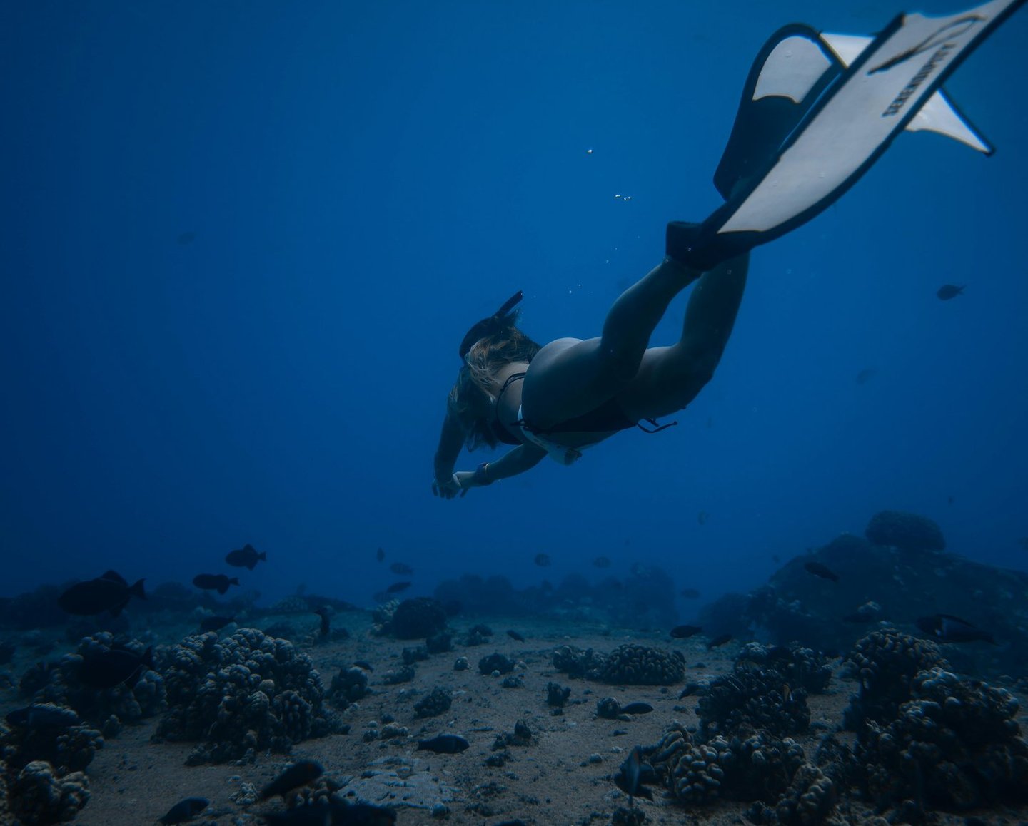 A free diver swimming deep underwater over a coral reef with tropical fish in blue ocean water.