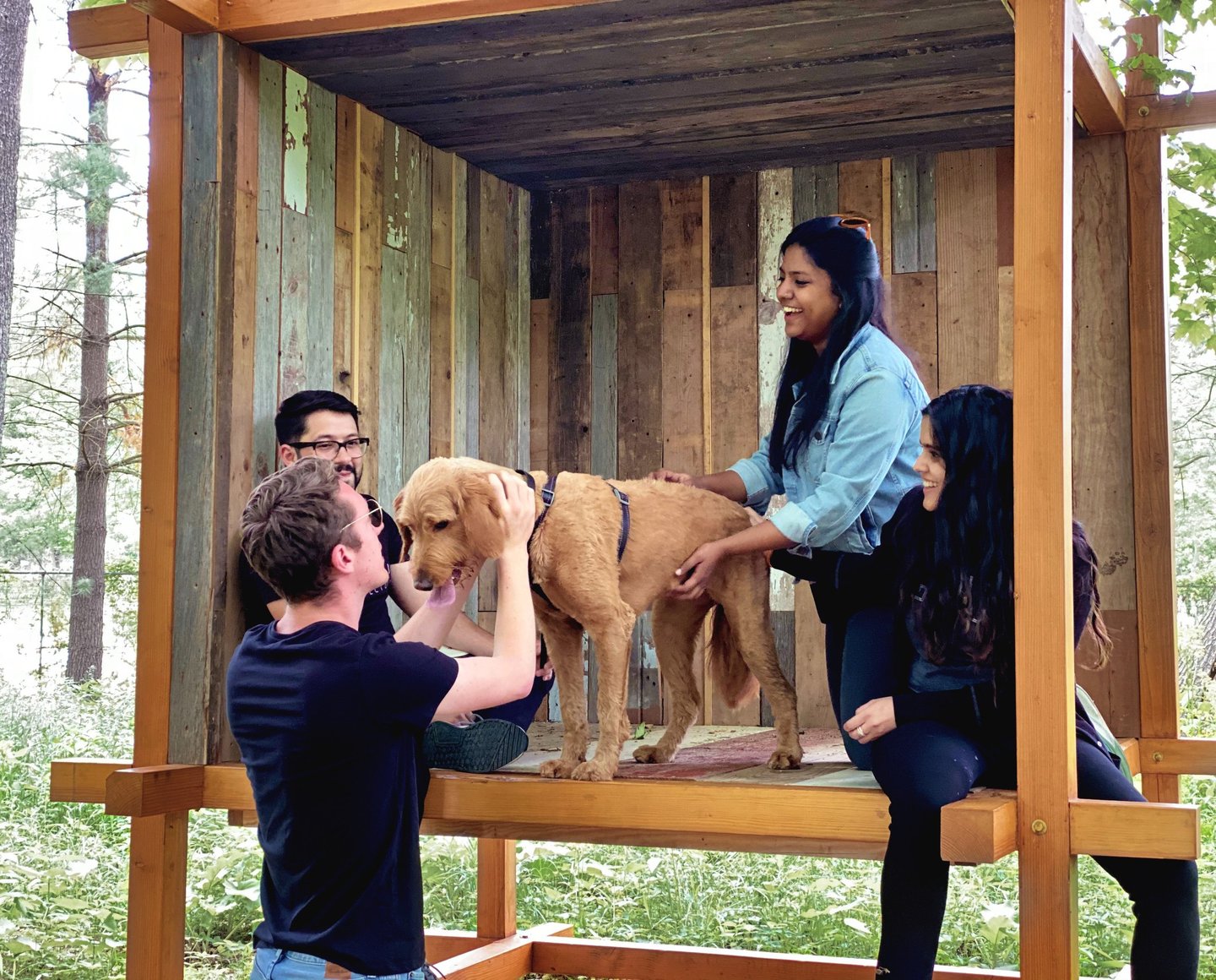 A photo of people and a dog laughing inside a wood pavilion