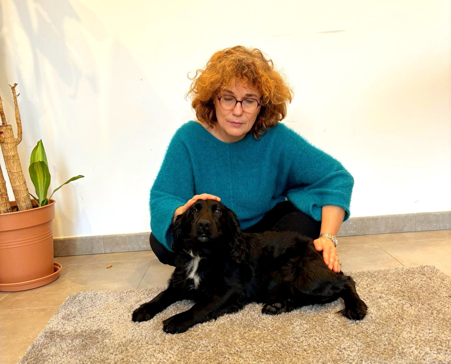 Soins énergétiques pour animaux — magnétisme à distance