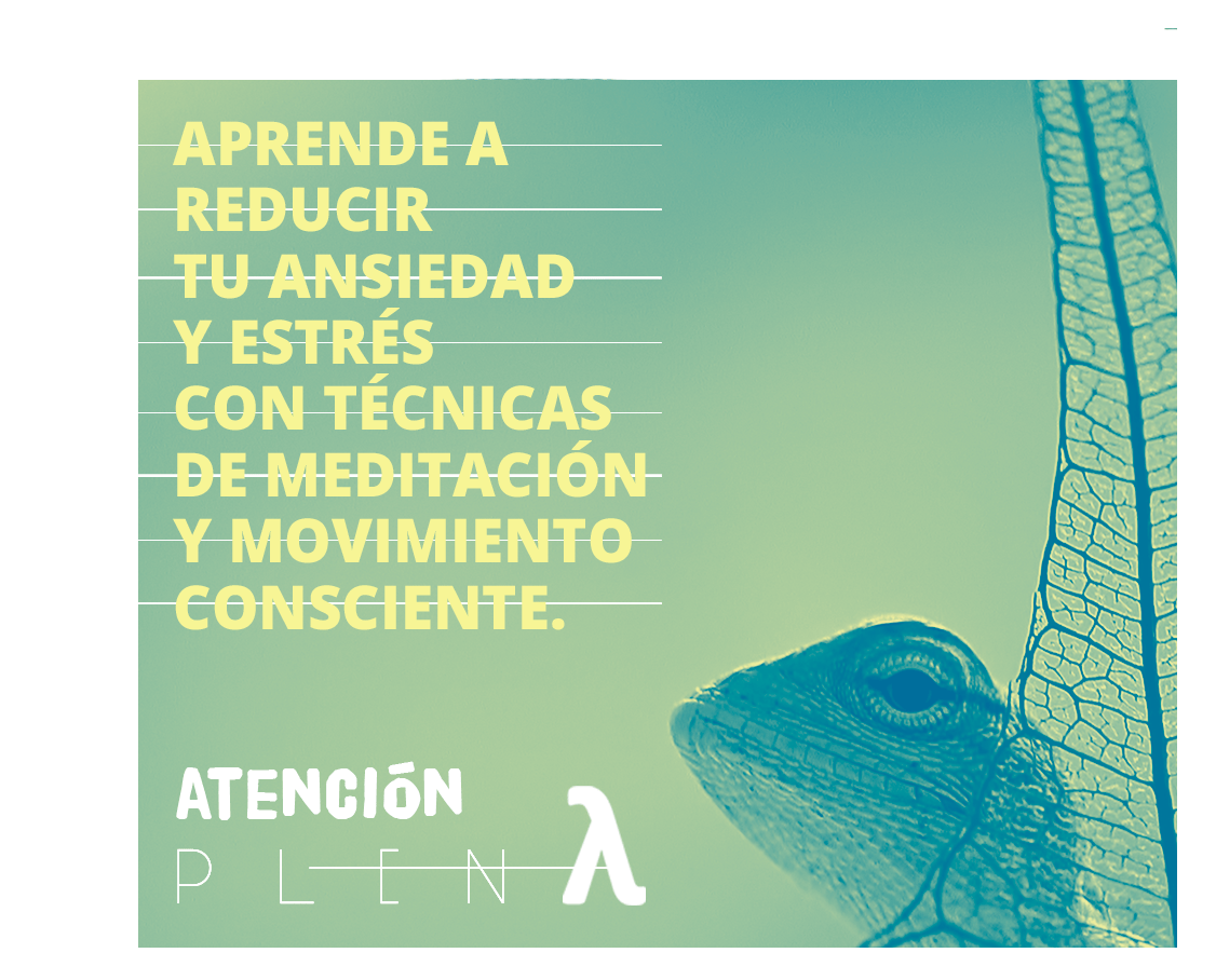 Aprende a recudir tu ansiedad y estrés con técnicas de meditación y movimiento consciente