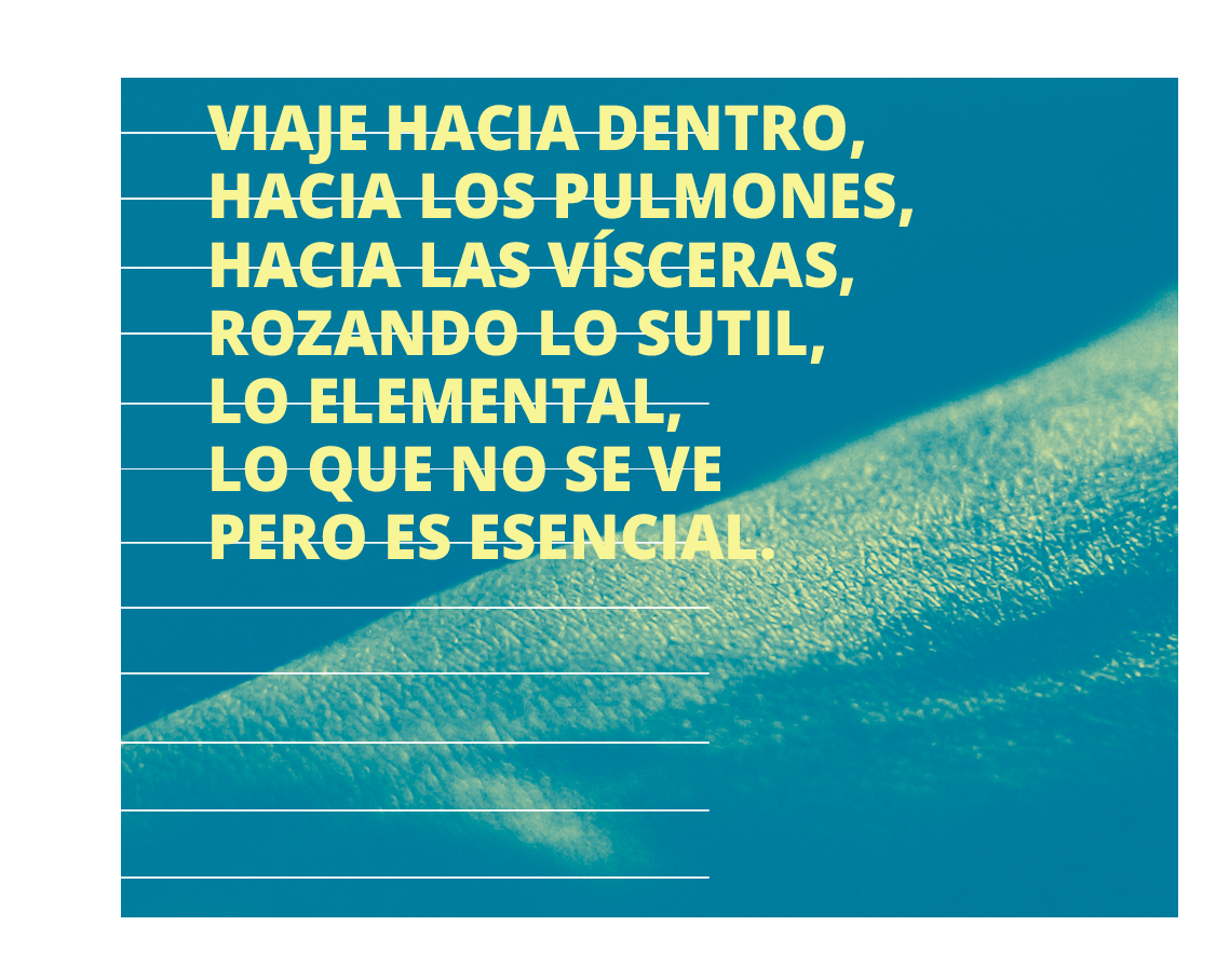viaje hacia dentro, hacia los pulmones, hacia las vísceras, rozando lo sutil y lo elemental