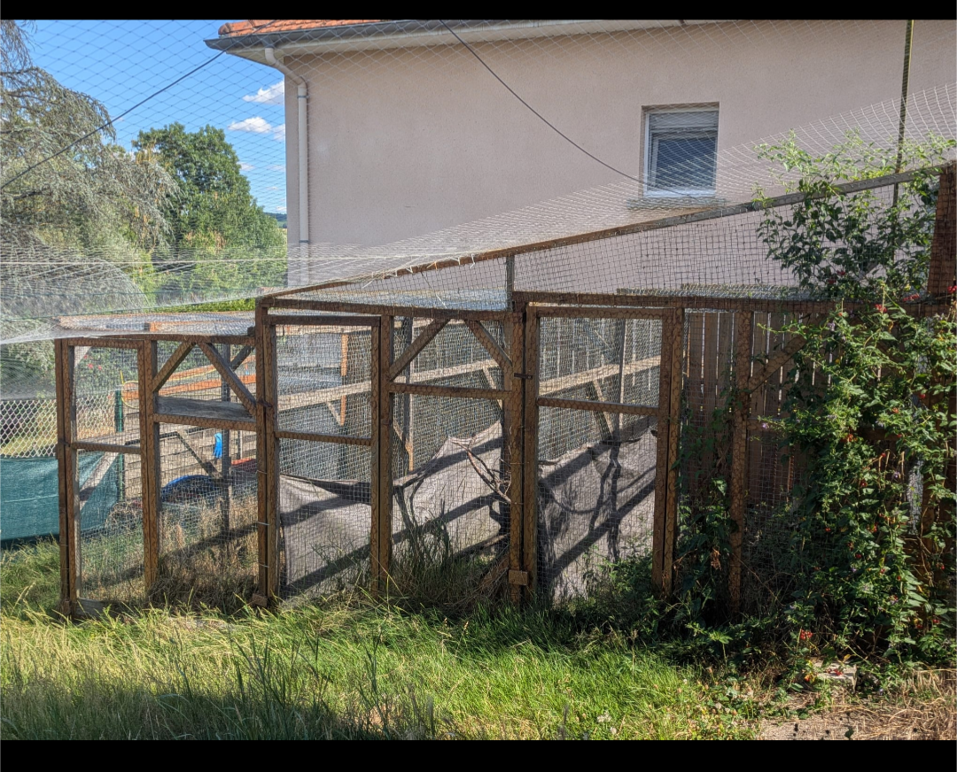 jardin chat nancy