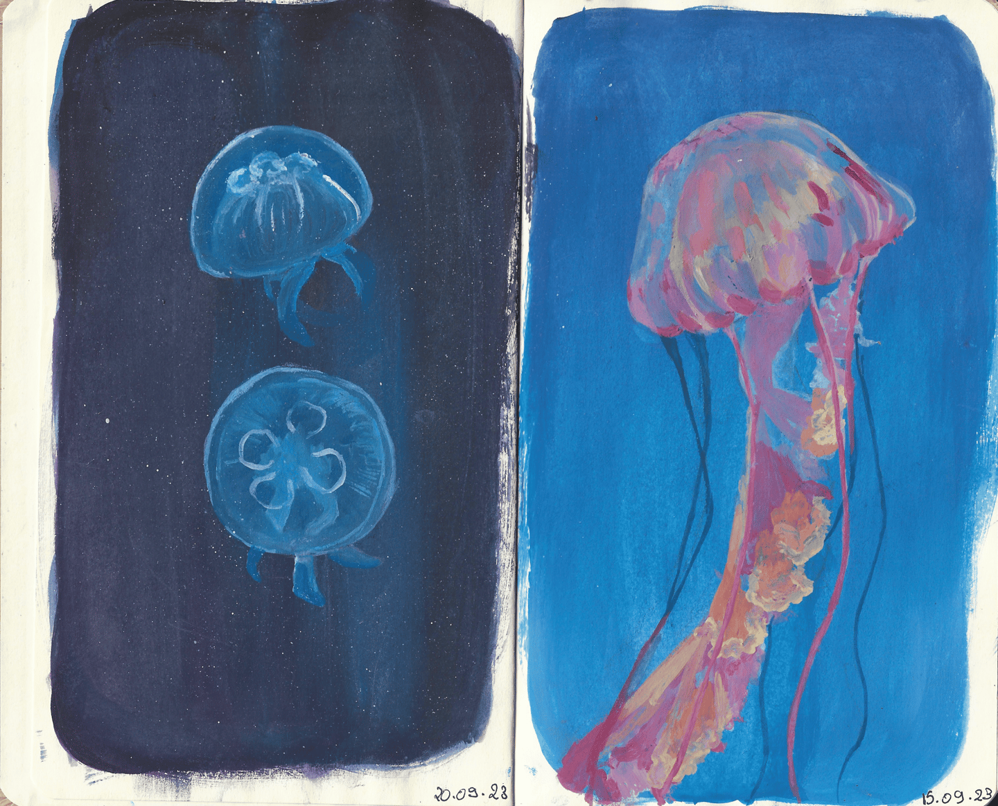 color study peinture sketchbook painting peinture méduses jellyfish painting