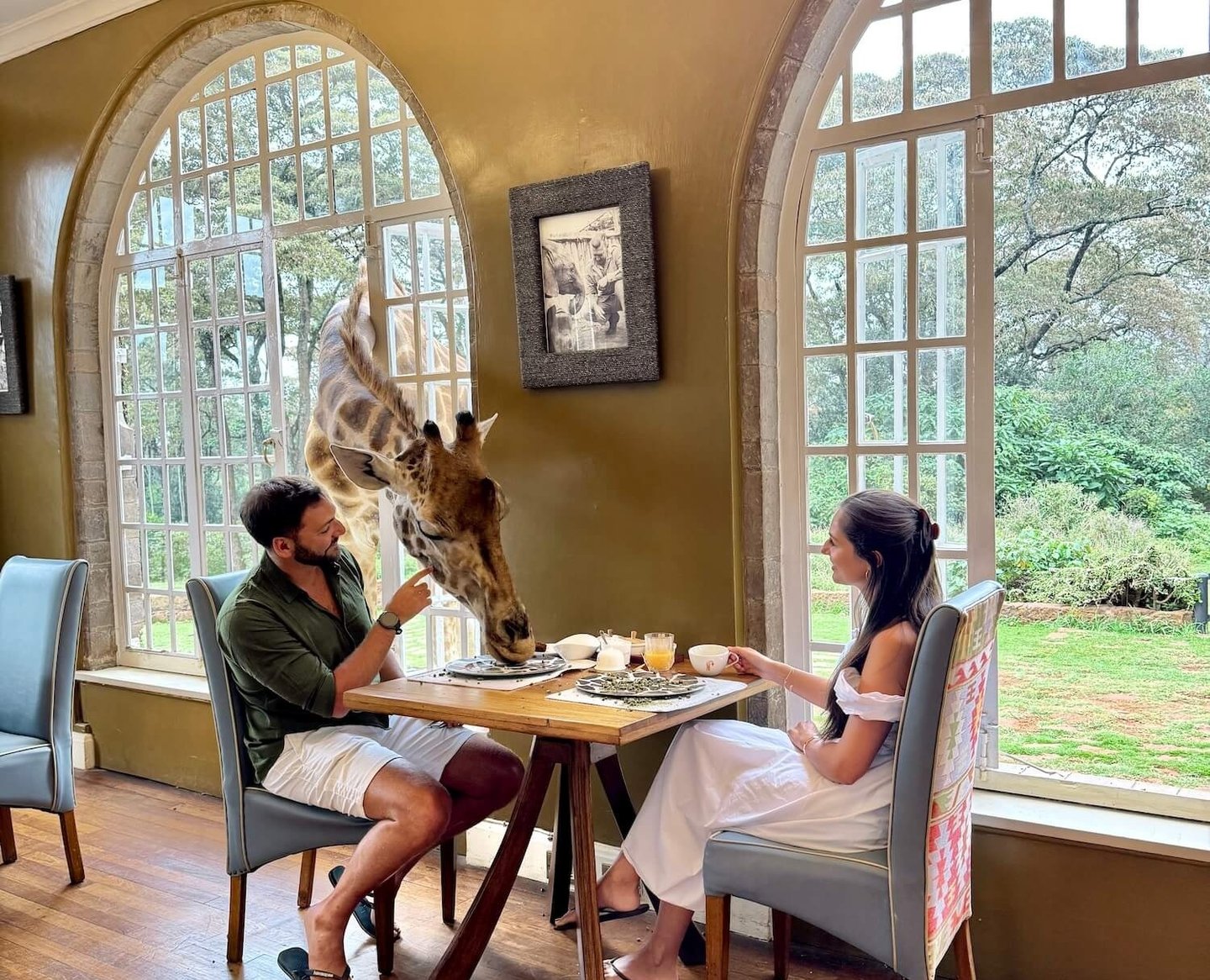 Giraffe Manor Kenya breakfast with giraffes