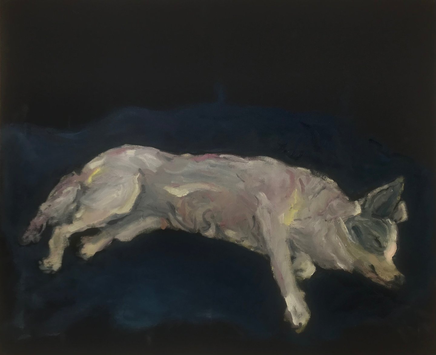 Adopted dog by Lina Mikuzyte