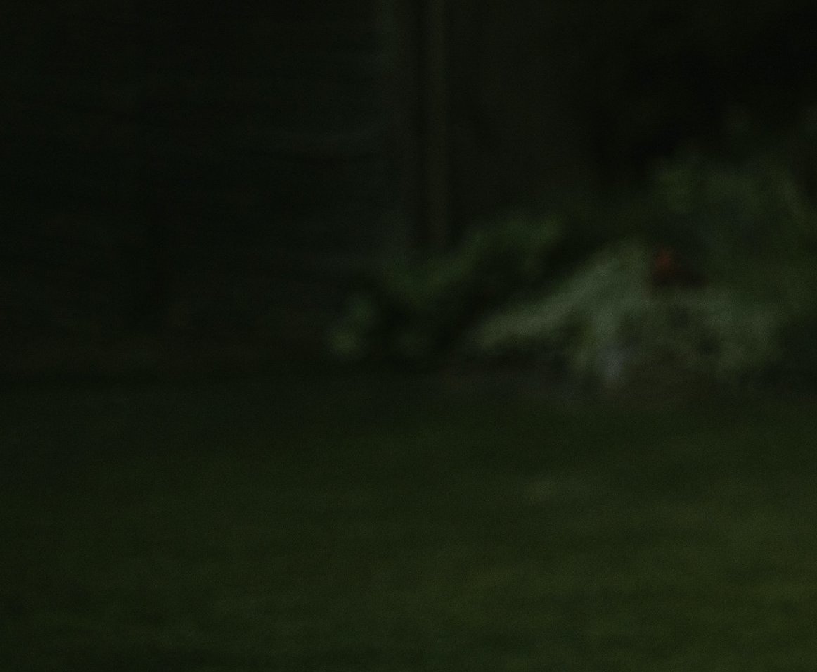 labai tamsios žalios spalvos fonas