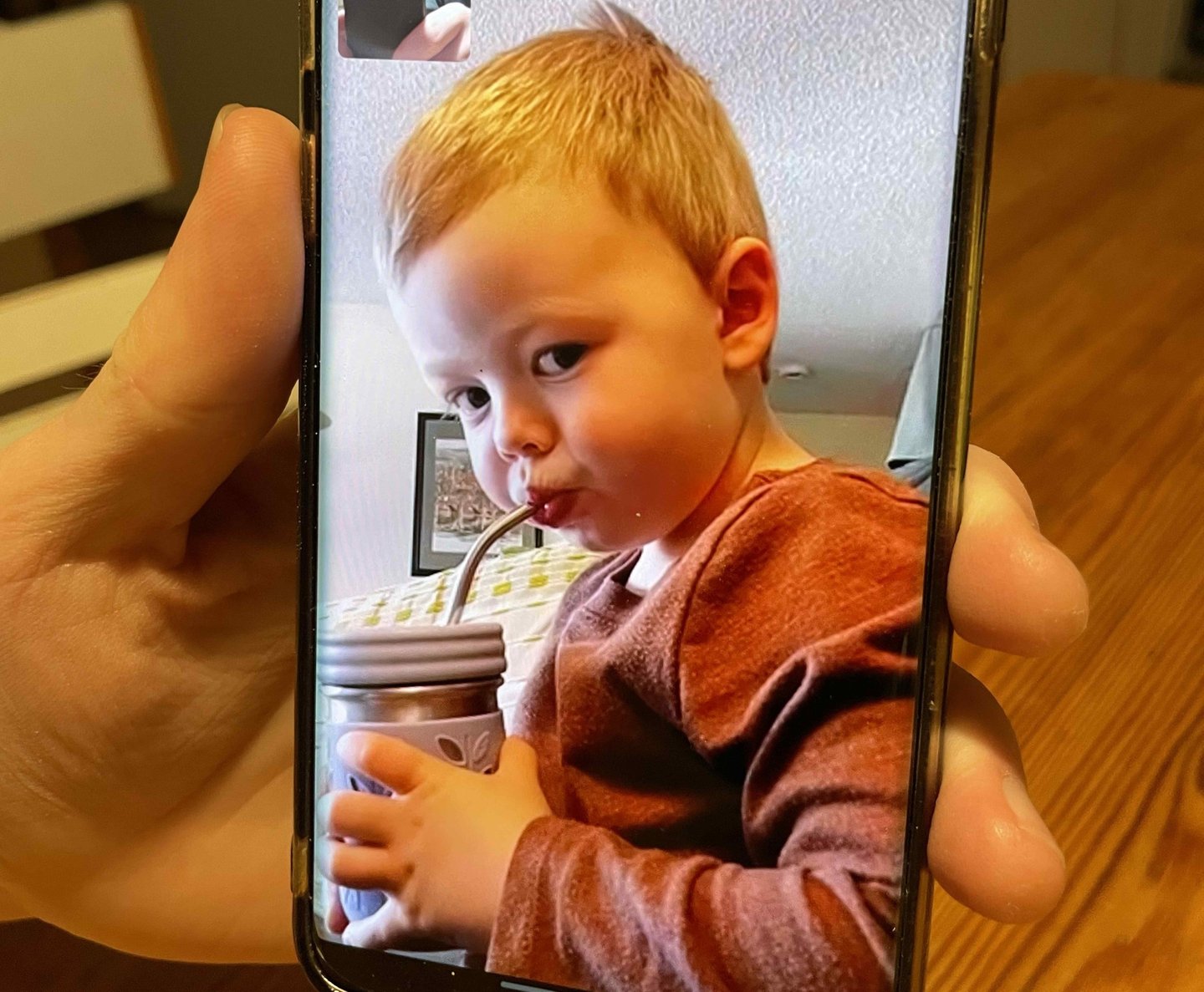 Videokonferenz mit meinem Neffen