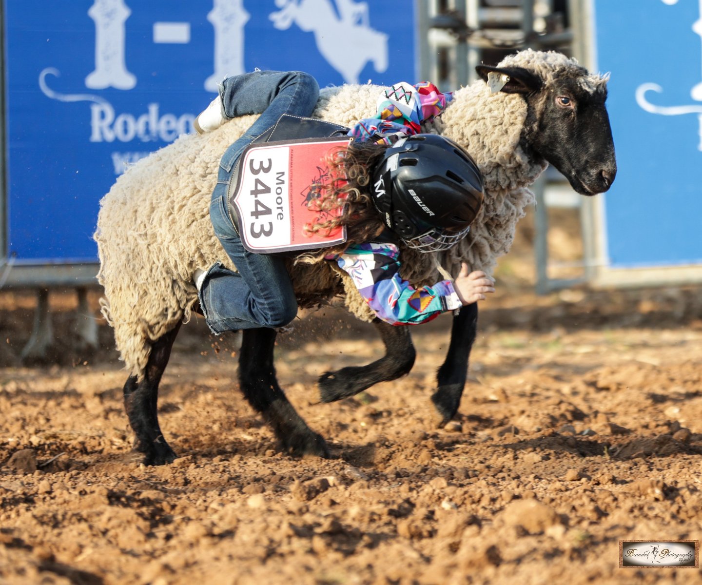 a child competing for Muttin' Bustin' at the 2026 Walker Ranch Rodeo