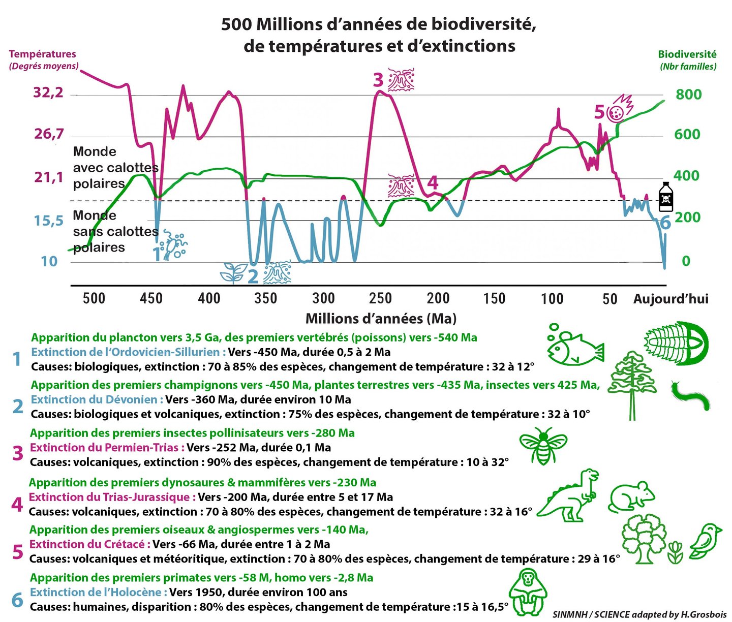 PESTICIDES BIODIVERSITÉ EXTINCTION MASSE INFOGRAPHIES