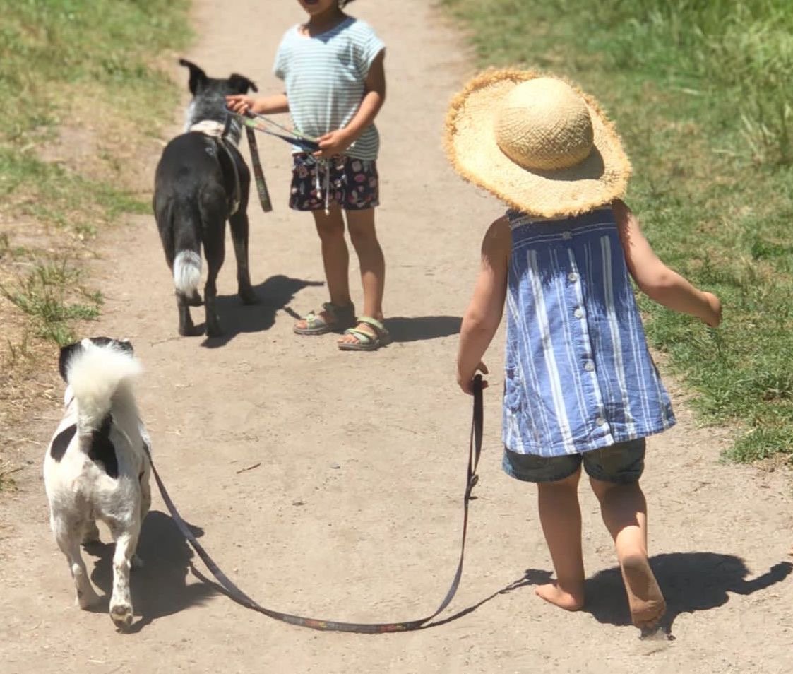 Dogs and Kids