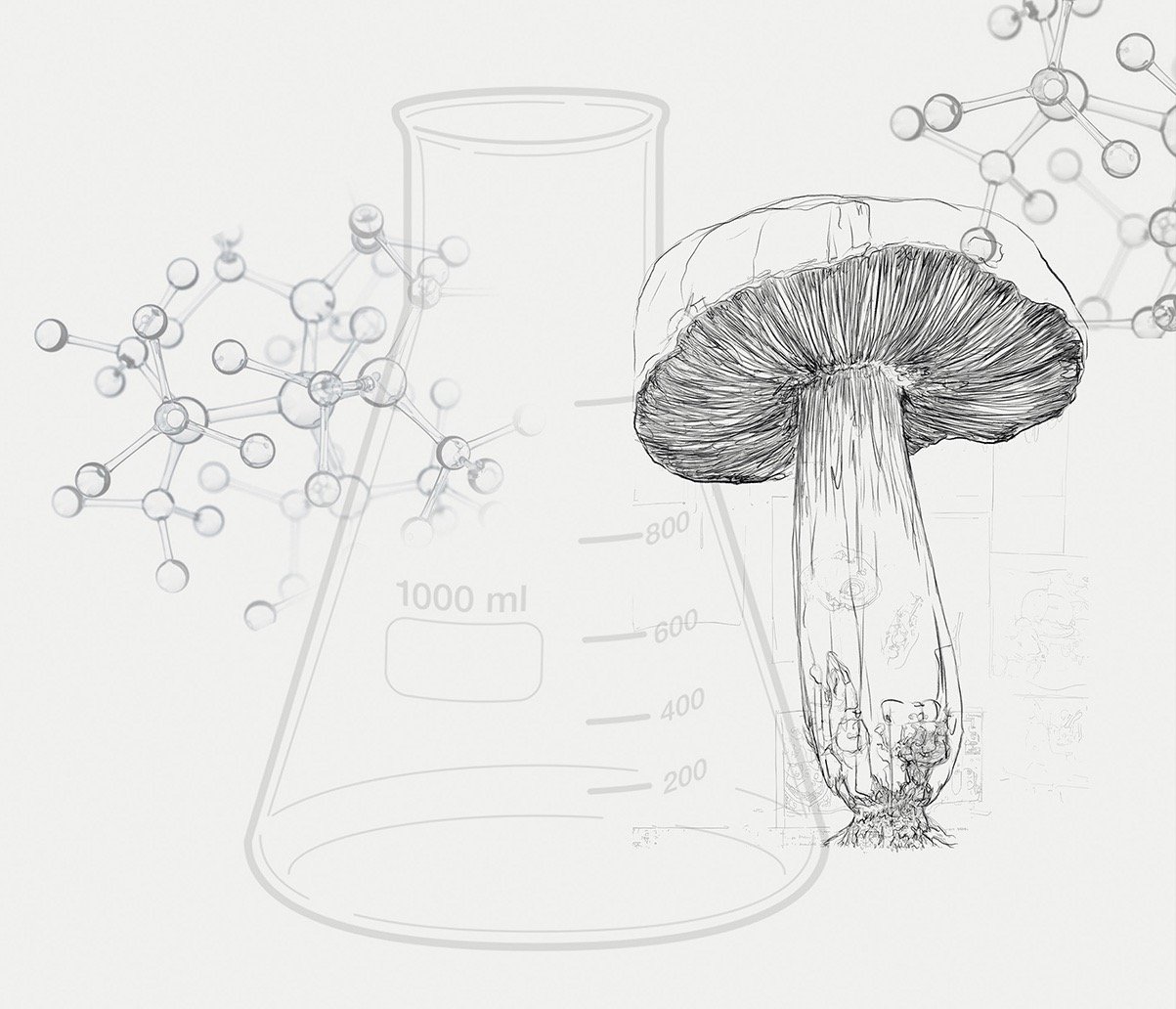 "The Mycelium Revolution" by Sezer Ali