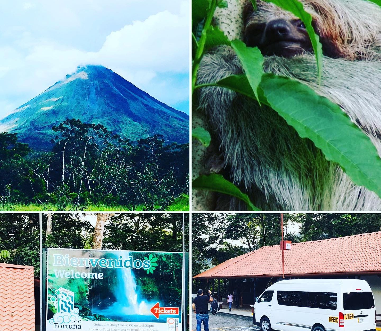 a sloth, a volcano, a white van and two people walking