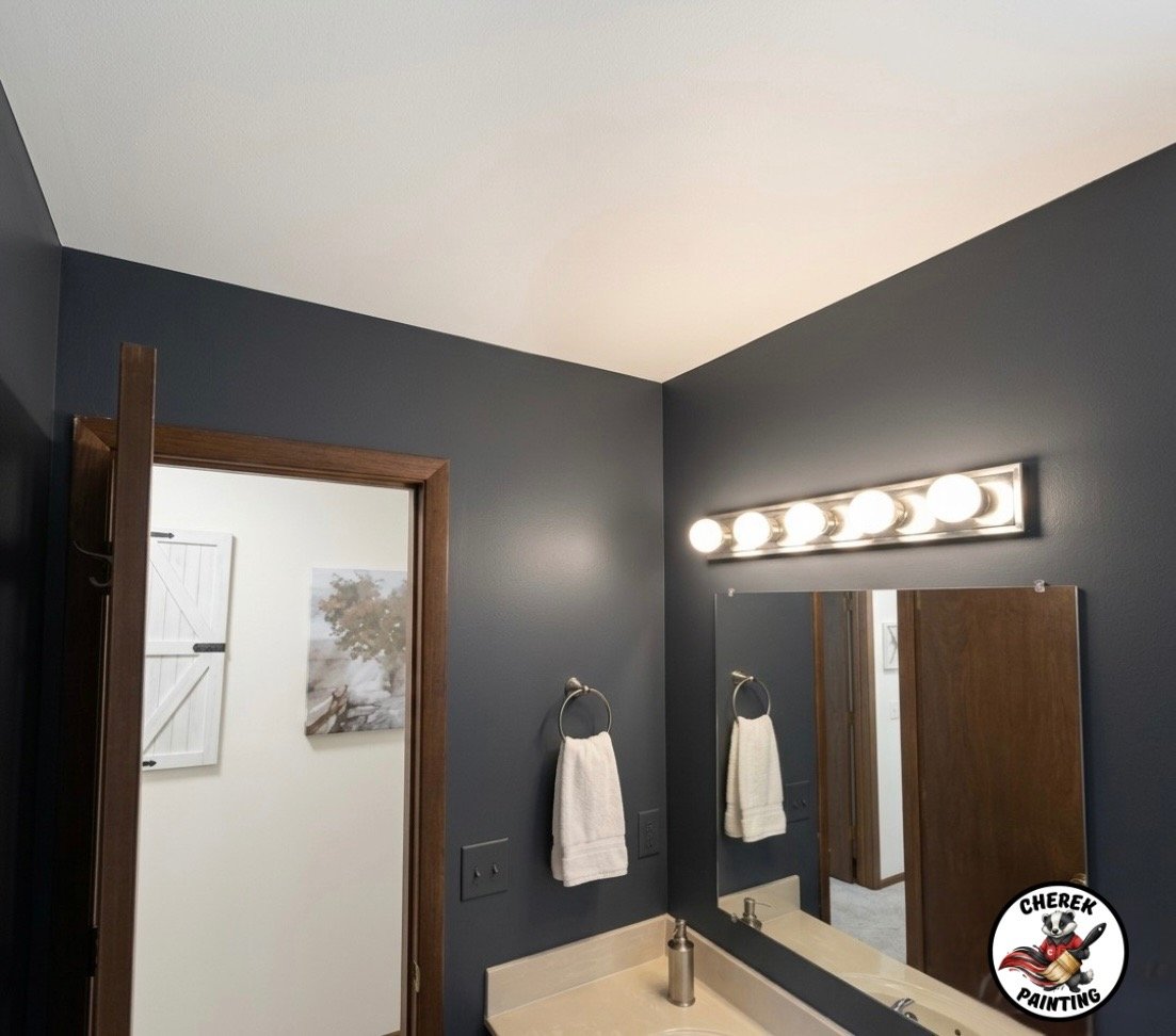 Homeowners bathroom has been transformed & beautified in McFarland, WI