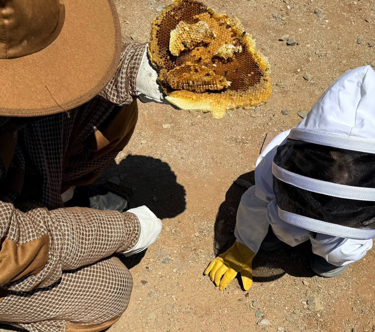Pest Control Service in Menifee, CA Family and Pet Friendly Footprint Pest Management