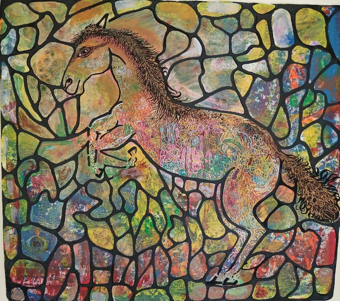 Visual artist in Northern Ireland