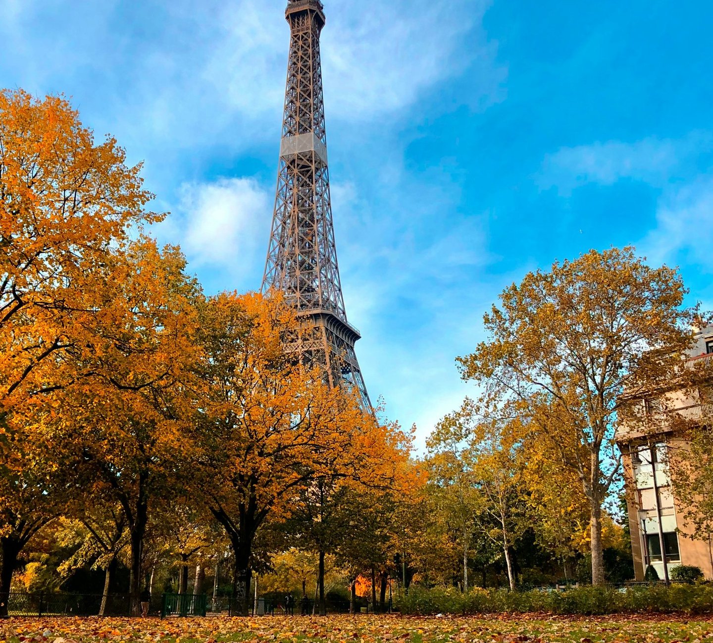 Fall foliage with autumn colors