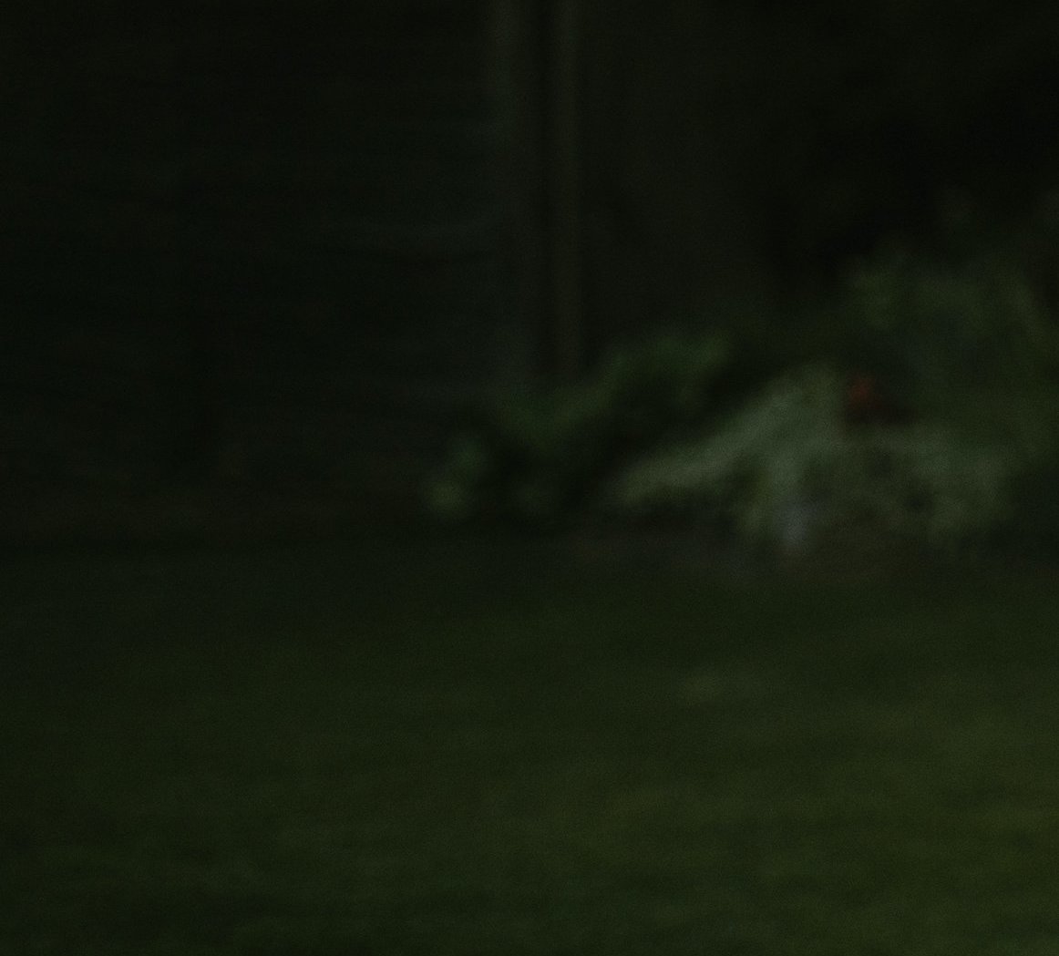 labai tamsios žalios spalvos fonas