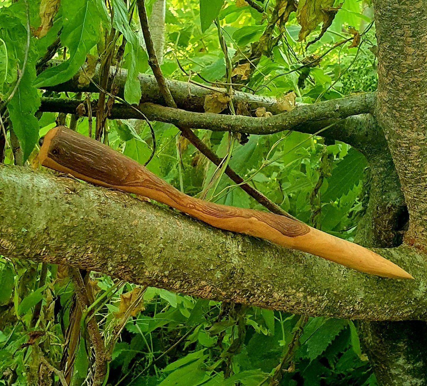 Baguettes salamander baguette en bois de poirier magie sorcellerie sorcière